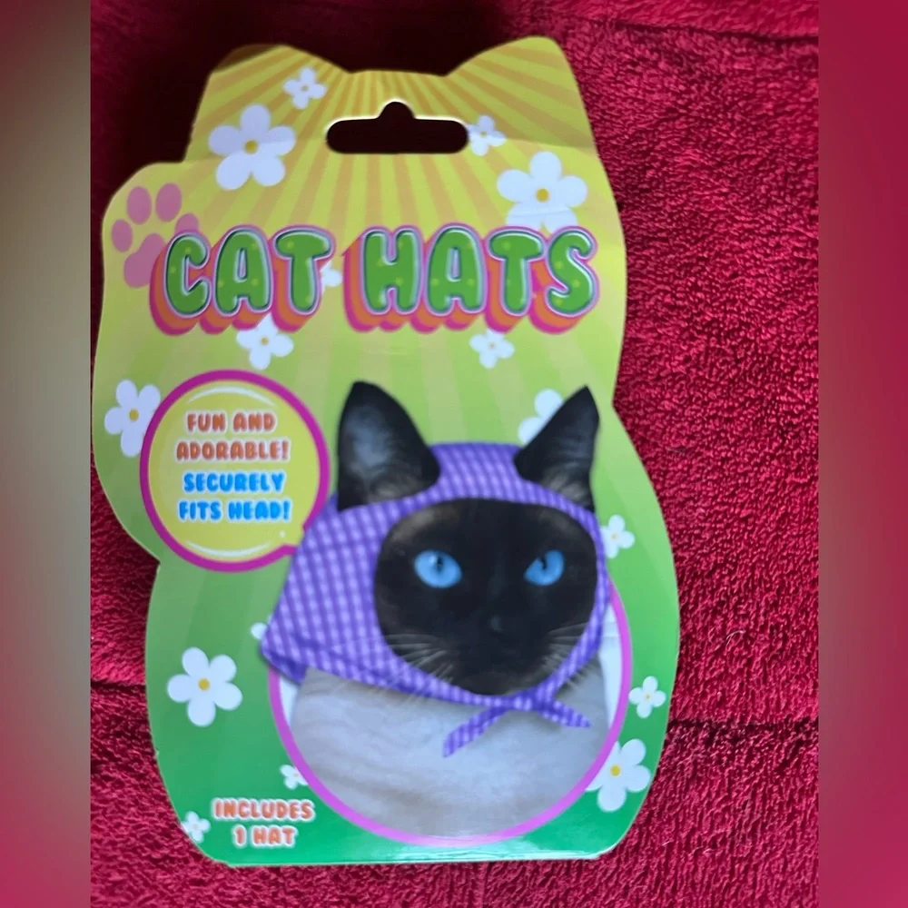 Bundle 4 Pack Fun Kitty Hats All Occasions NEW